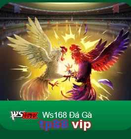 tp88 vip